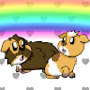 Meet your Posher, Vanda